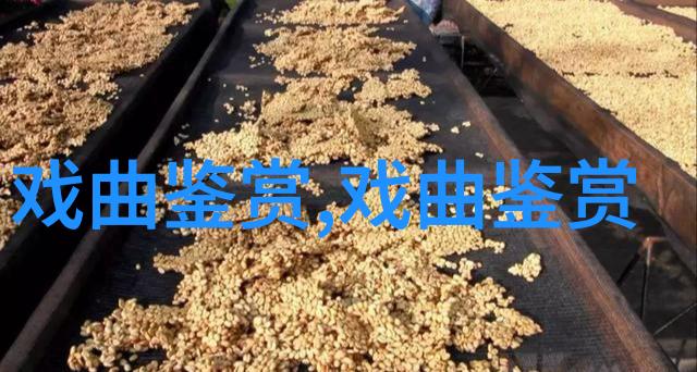 青岛京剧东方大港两组主演